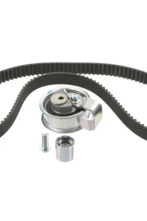 Popular OES Timing Belt Kit For A4 and Passat