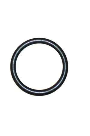 Ajusa Outlet Tube To Thermostat Engine Coolant Pipe O-Ring - 90537379 Best Price