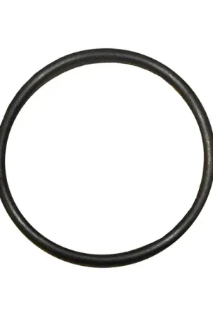 Ajusa Engine Coolant Thermostat O-Ring - 06H121119E Markdown